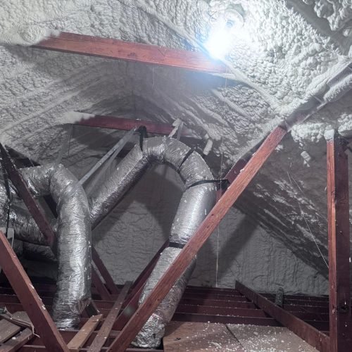 whatsapp image 2026 02 08 at 8.30.55 pm (12)