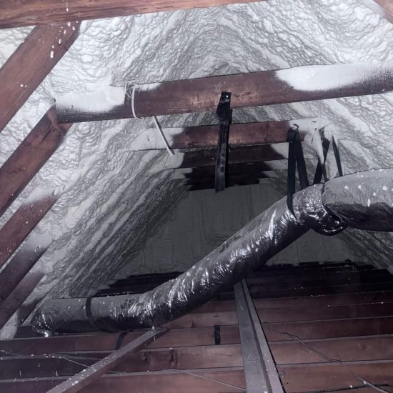 whatsapp image 2026 02 08 at 8.30.55 pm (15)