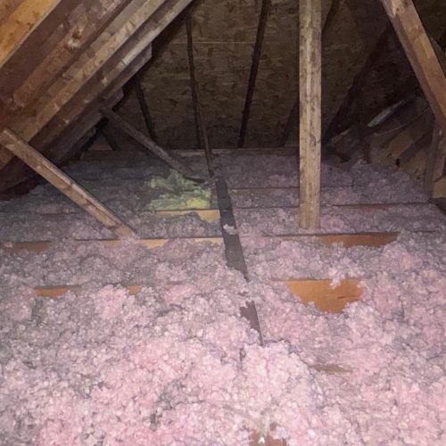 Old dirty fiberglass insulation removal in residential attic Georgia.