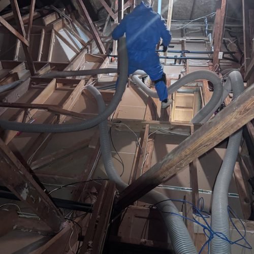 whatsapp image 2026 02 08 at 8.30.55 pm (5)