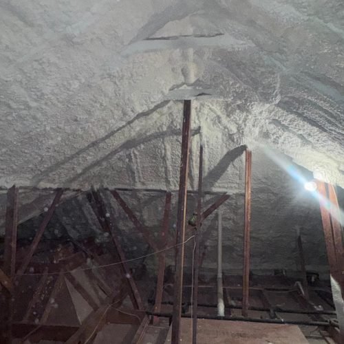 whatsapp image 2026 02 08 at 8.30.55 pm (6)